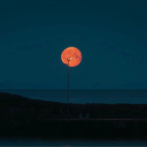 cos西施裸体自慰无遮挡
