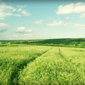 cos西施裸体自慰无遮挡
