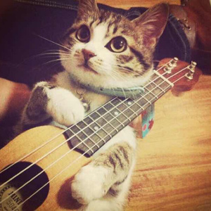 cos西施裸体自慰无遮挡
